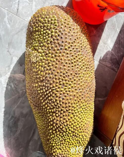 菠萝视频黄背后的真相与影响分析 菠萝视频黄背后的真相与影响分析