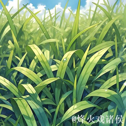 青青草官网:www.青青草.com,畅享绿色新体验 青青草官网:www.青青草.com,畅享绿色新体验