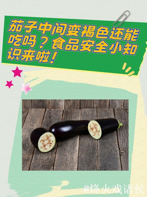 茄子视频吃瓜网全网热门话题大揭秘 茄子视频吃瓜网全网热门话题大揭秘